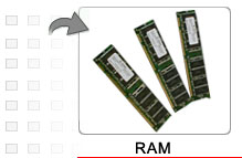 Ram